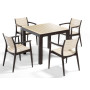 Кресло NOVUSSI REGNUM из высококачественного пластика NVS005 cappuccino-brown