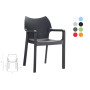 Кресло Siesta (Diva armchair), арт. 028